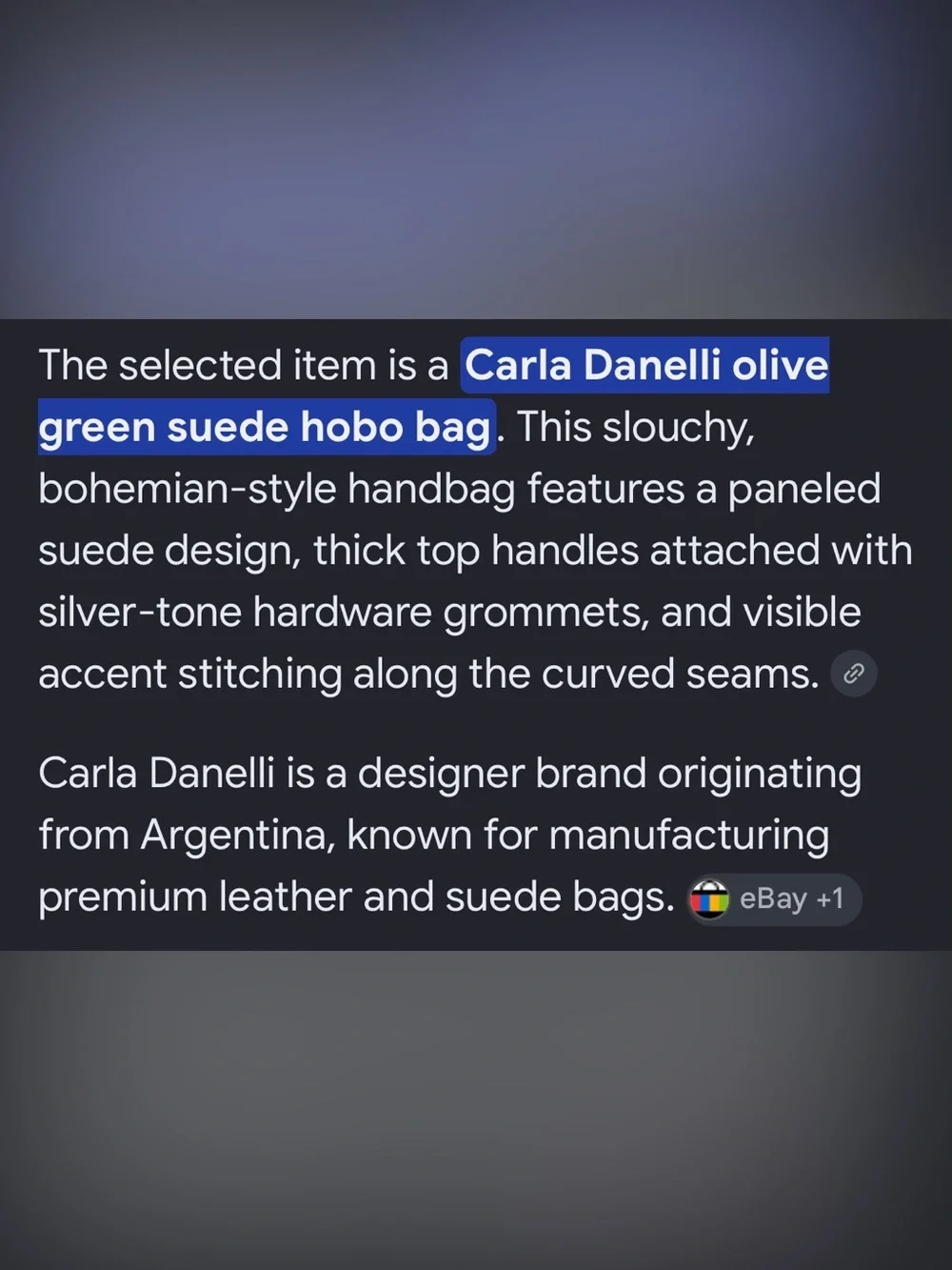 HTF Carla Danelli suede hobo Bag